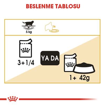 Royal Canin Pouch British Shorthair Irkına Özel Yaş Kedi Maması 85 Gr - 5