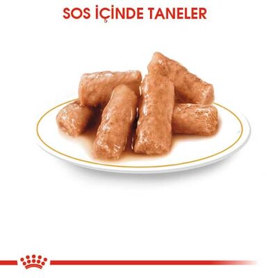 Royal Canin Pouch British Shorthair Irkına Özel Yaş Kedi Maması 85 Gr - 6