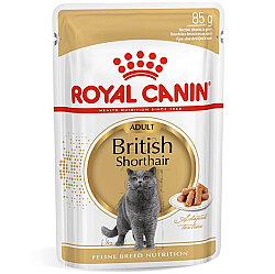 Royal Canin Pouch British Shorthair Irkına Özel Yaş Kedi Maması 85 Gr - Royal Canin