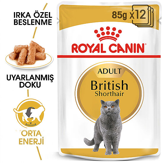 Royal Canin Pouch British Shorthair Irkına Özel Yaş Kedi Maması 85 Gr - 6