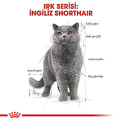 Royal Canin Pouch British Shorthair Irkına Özel Yaş Kedi Maması 85 Gr - 2
