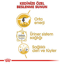 Royal Canin Pouch British Shorthair Irkına Özel Yaş Kedi Maması 85 Gr - 4
