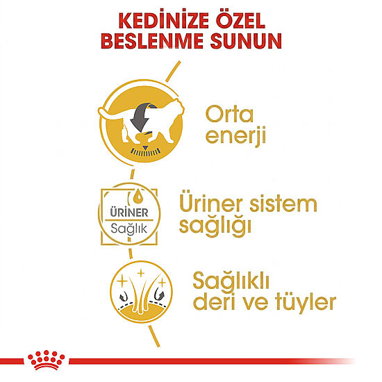 Royal Canin Pouch British Shorthair Irkına Özel Yaş Kedi Maması 85 Gr - 4