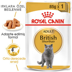 Royal Canin - Royal Canin Pouch British Shorthair Irkına Özel Yaş Kedi Maması 85 Gr