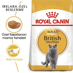 Royal Canin British Shorthair Kedilerine Özel Mama 10 Kg + 10Lu Lolipop Kedi Ödülü - Thumbnail