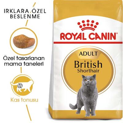 Royal Canin British Shorthair Kedilerine Özel Mama 10 Kg + 10Lu Lolipop Kedi Ödülü