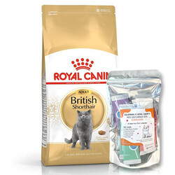 Royal Canin British Shorthair Kedilerine Özel Mama 10 Kg + 10Lu Lolipop Kedi Ödülü - Thumbnail