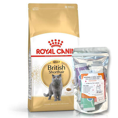 Royal Canin British Shorthair Kedilerine Özel Mama 10 Kg + 10Lu Lolipop Kedi Ödülü