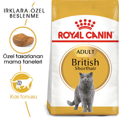 Royal Canin British Shorthair Kedilerine Özel Mama 10 Kg x 2 Adet + 2 Adet 10Lu Lolipop Kedi Ödülü