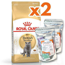 Royal Canin British Shorthair Kedilerine Özel Mama 10 Kg x 2 Adet + 2 Adet 10Lu Lolipop Kedi Ödülü - Thumbnail