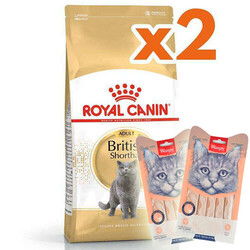 Royal Canin - Royal Canin British Shorthair Irk Kedi Maması 10 Kg x 2 Adet + 2 Adet Wanpy Creamy Treat 5x14 Gr