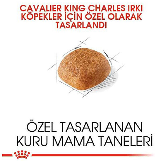 Royal Canin Cavalier King Charles Irk Köpek Maması 1,5 Kg + Temizlik Mendili - 3