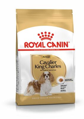 Royal Canin Cavalier King Charles Irk Köpek Maması 1,5 Kg + Temizlik Mendili