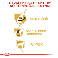 Royal Canin Cavalier King Charles Irk Köpek Maması 1,5 Kg + Temizlik Mendili - Thumbnail