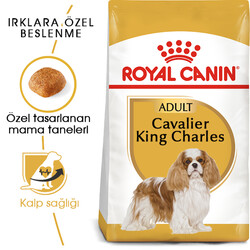 Royal Canin - Royal Canin Cavalier King Charles Irk Köpek Maması 1,5 Kg + Temizlik Mendili