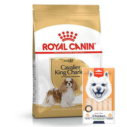 Royal Canin - Royal Canin Cavalier King Charles Irk Köpek Maması 1,5 Kg + Wanpy Creamy Treat 5x14 Gr