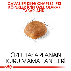Royal Canin Cavalier King Charles Köpek Maması 3 Kg + Esca Food Köpek Ödülü - Thumbnail