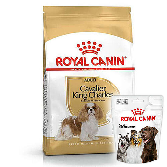 Royal Canin Cavalier King Charles Köpek Maması 3 Kg + Royal Canin Köpek Ödülü - 1