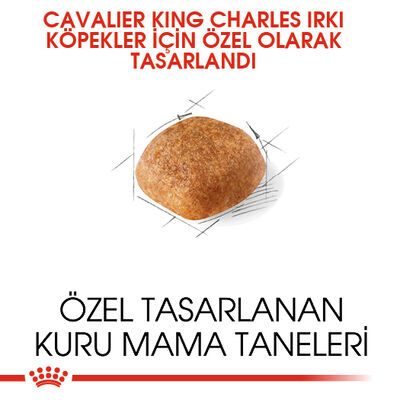 Royal Canin Cavalier King Charles Köpek Maması 3 Kg + Temizlik Mendili