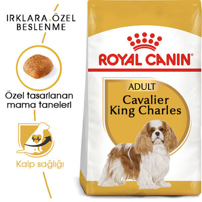 Royal Canin Cavalier King Charles Köpek Maması 3 Kg + Temizlik Mendili