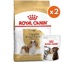 Royal Canin Cavalier King Charles Köpek Maması 3 Kg x 2 Adet + 2 Adet Royal Canin Köpek Ödülü - Royal Canin