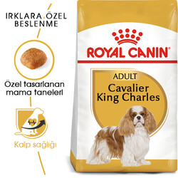 Royal Canin Cavalier King Charles Köpek Maması 3 Kg x 2 Adet + Temizlik Mendili - 2