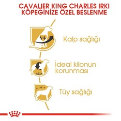 Royal Canin Cavalier King Charles Köpek Maması 3 Kg x 2 Adet + Temizlik Mendili - Thumbnail