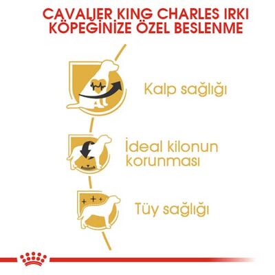 Royal Canin Cavalier King Charles Köpek Maması 3 Kg x 2 Adet + Temizlik Mendili