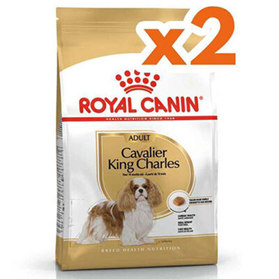 Royal Canin Cavalier King Charles Köpek Maması 3 Kg x 2 Adet + Temizlik Mendili