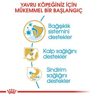 Royal Canin Cavalier King Charles Puppy Yavru Köpek Maması 1,5 Kg x 2 Adet + Temizlik Mendili - 3