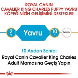 Royal Canin Cavalier King Charles Puppy Yavru Köpek Maması 1,5 Kg x 2 Adet + Temizlik Mendili - Thumbnail