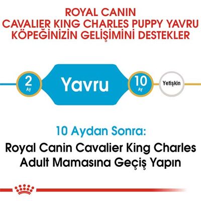 Royal Canin Cavalier King Charles Puppy Yavru Köpek Maması 1,5 Kg x 2 Adet + Temizlik Mendili