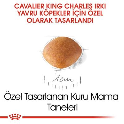 Royal Canin Cavalier King Charles Puppy Yavru Köpek Maması 1,5 Kg x 2 Adet + Temizlik Mendili