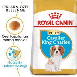 Royal Canin Cavalier King Charles Puppy Yavru Köpek Maması 1,5 Kg x 2 Adet - Thumbnail