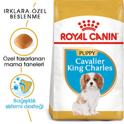 Royal Canin Cavalier King Charles Puppy Yavru Köpek Maması 1,5 Kg x 2 Adet + Temizlik Mendili - Thumbnail