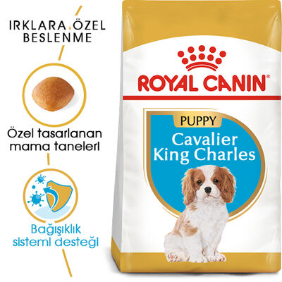 Royal Canin Cavalier King Charles Puppy Yavru Köpek Maması 1,5 Kg x 2 Adet + Temizlik Mendili