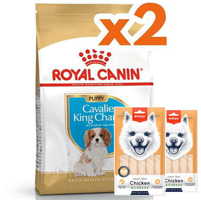 Royal Canin Cavalier King Charles Puppy Yavru Köpek Maması 1,5 Kg x 2 Adet + 2 Adet Wanpy Creamy Treat 5x14 Gr