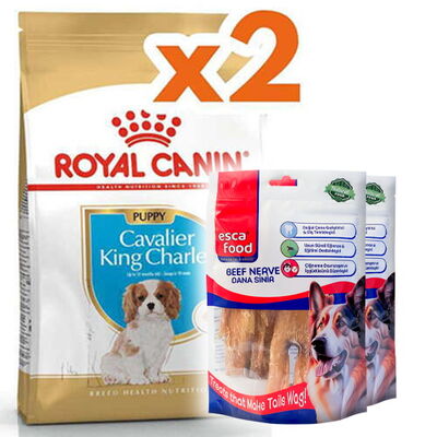 Royal Canin Cavalier King Charles Puppy Yavru Köpek Maması 1,5 Kg x 2 Adet + 2 Adet Esca Food Köpek Ödülü