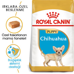 Royal Canin - Royal Canin Chihuahua Puppy Yavru Köpek Maması 1,5 Kg + Başlangıç Seti