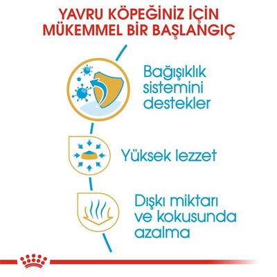 Royal Canin Chihuahua Puppy Yavru Köpek Maması 1,5 Kg x 2 Adet + Temizlik Mendili - 3