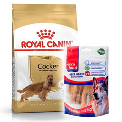 Royal Canin - Royal Canin Cocker Irkına Özel Köpek Maması 3 Kg + Esca Food Köpek Ödülü