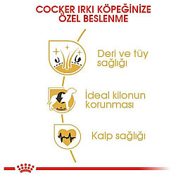 Royal Canin Cocker Irkına Özel Köpek Maması 3 Kg + Temizlik Mendili - 4
