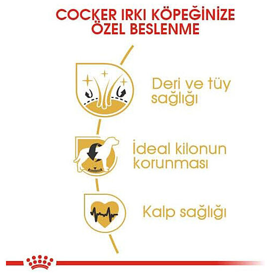 Royal Canin Cocker Irkına Özel Köpek Maması 3 Kg + Temizlik Mendili - 4