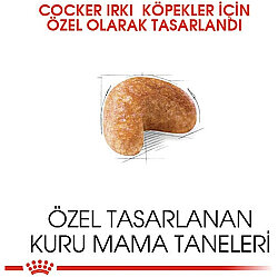 Royal Canin Cocker Irkına Özel Köpek Maması 3 Kg + Temizlik Mendili - 3