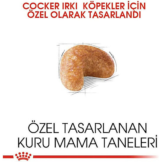 Royal Canin Cocker Irkına Özel Köpek Maması 3 Kg + Temizlik Mendili - 3