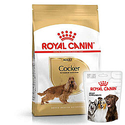 Royal Canin Cocker Irkına Özel Köpek Maması 3 Kg + Royal Canin Köpek Ödülü - Royal Canin