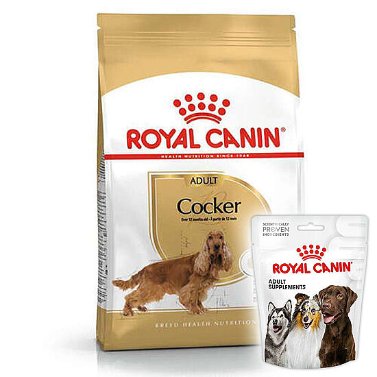 Royal Canin Cocker Irkına Özel Köpek Maması 3 Kg + Royal Canin Köpek Ödülü - 1