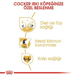 Royal Canin Cocker Irkına Özel Köpek Maması 3 Kg + Temizlik Mendili - Thumbnail