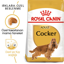 Royal Canin - Royal Canin Cocker Irkına Özel Köpek Maması 3 Kg + 2 Adet Temizlik Mendili