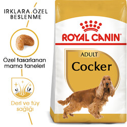 Royal Canin Cocker Irkına Özel Köpek Maması 3 Kg - Thumbnail